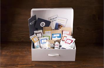 Starterbox für Hunde