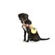 Gilet lumineux chien LED M | Bild 3